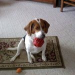 Barb Foster Bullock - @bullock.barb - Instagram