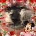 Barb Fowler - Facebook