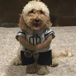 Barb Fowler Harrell - @bharrell44 - Instagram