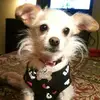 barbfowler - @barbfowler - TikTok
