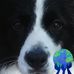 Barb Fox - Facebook