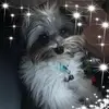 barbfox02 - @barbfox02 - TikTok