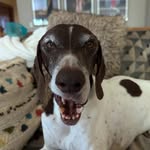 Barb Frank - @barb.frank0709 - Instagram