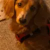 Barb Franks - @barbfranks - TikTok