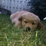 Barb Fraser - @boneybarb - Instagram