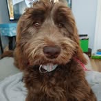 Barb Fraser - Facebook