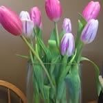 Barb Fraser - @barbea5 - Instagram