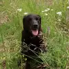 Barb Fraser - @barb.fraser - TikTok