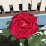 Barbara Fraser - Facebook