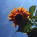Barb Freeman - Facebook