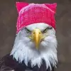 barbfreeman67 - @barbfreeman67 - TikTok