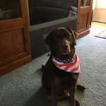 Barb Frey-Blum - @barbfreyblum - Instagram
