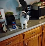 Barb Fuller - Facebook