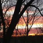 Barb Fuller - @barb_wiese_fuller - Instagram