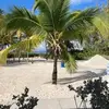 Barb Fuller - @barb.fuller - TikTok
