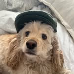 Barb Fuller Meidel - @bmeidel - Instagram