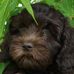 Barb Gaffney - Facebook