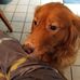 Barbara Gaffney - Facebook