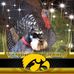Barb Gardner - Facebook