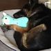 Barb Gardner - Facebook