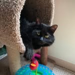 Barb George-Weaver - @barbgeorgeweaver - Instagram