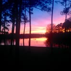 Barb Gill - Facebook