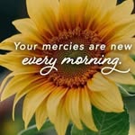 Barb Gillium - @barb_gillium - Instagram