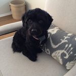Barb Gould - @rubytuesdayco - Instagram