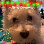 Barb Gregory - @barb.gregory.3 - Instagram