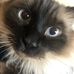 Barbara Hale - Facebook