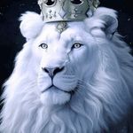 Barb Hansen - @barb.hansen.520 - Instagram