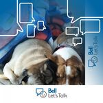 Barb Hansen - @barb.hansen.73 - Instagram