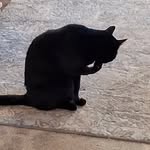 Barb Harmon - @mg.barb - Instagram