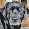 barbharmon - @barbharmon - TikTok
