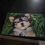 Barb Hoffman - @barb.hoffman.39 - Instagram