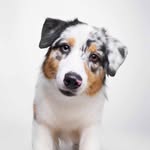 Barb Hoffman - @barb.hoffman.773 - Instagram