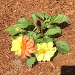 Barb Hoffman - @barbshoff - Instagram