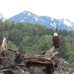 Barb Hoffman - @barbhoffman44 - Instagram