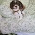 Barbara Holcomb - Facebook