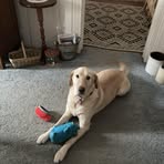 Barb Hoover - Facebook