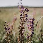 Barb White Hoover - @barb4993 - Instagram