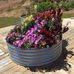 Barb Horne - Facebook