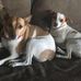 Barb Hyde - Facebook