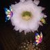 Barb Jackson - Facebook