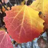 Barb Jackson - @barb.jackson8 - TikTok