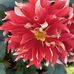 Barb Jensen - Facebook