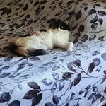 Barb Jensen Prosser - @barbjensenprosser - Instagram