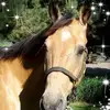 barbjensen611 - @barbjensen611 - TikTok