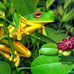 Barb Joseph - Facebook