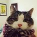 Barbara Joseph - Facebook